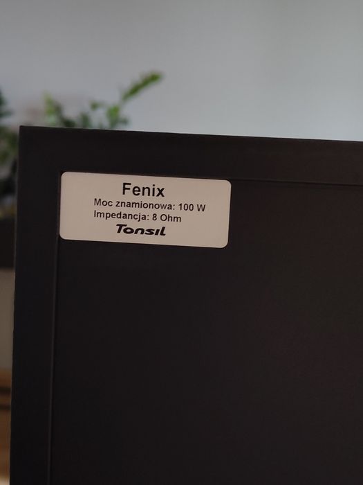 Kolumny Tonsil Fenix