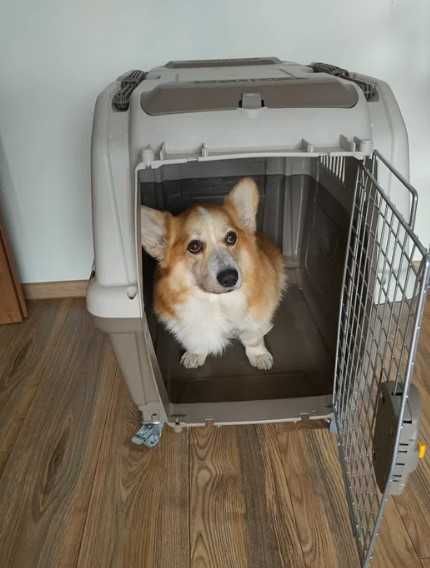 Бокс переноска клетка для собак SKUDO IATA от №1 ,2,3,4,5,6,7 Днепр