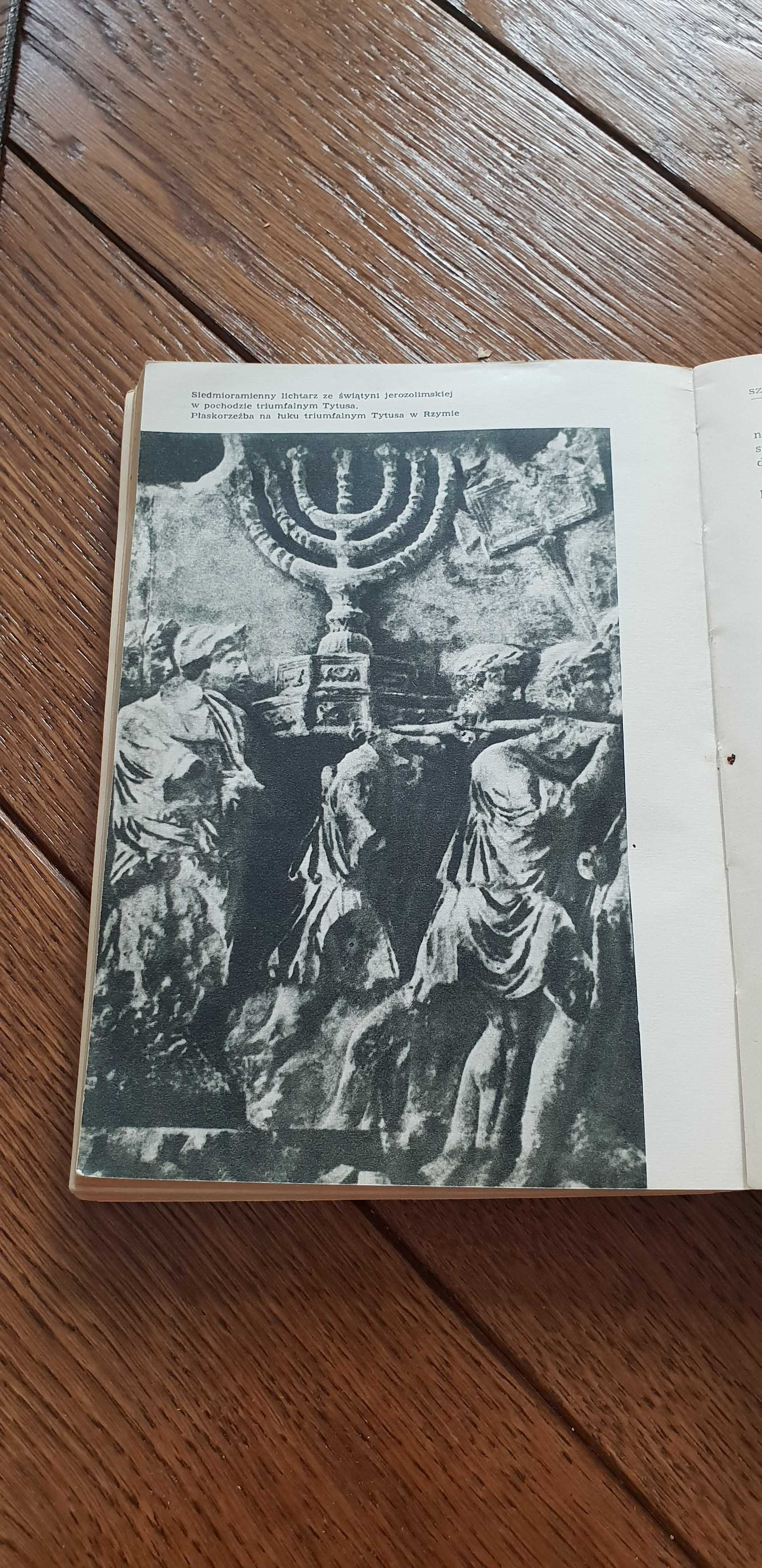 Książka rok 1965 "Rumaki Lizypa" Zenon Kosidowski