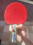 Butterfly Peter Korbel xiom stradivarius Timo boll alc