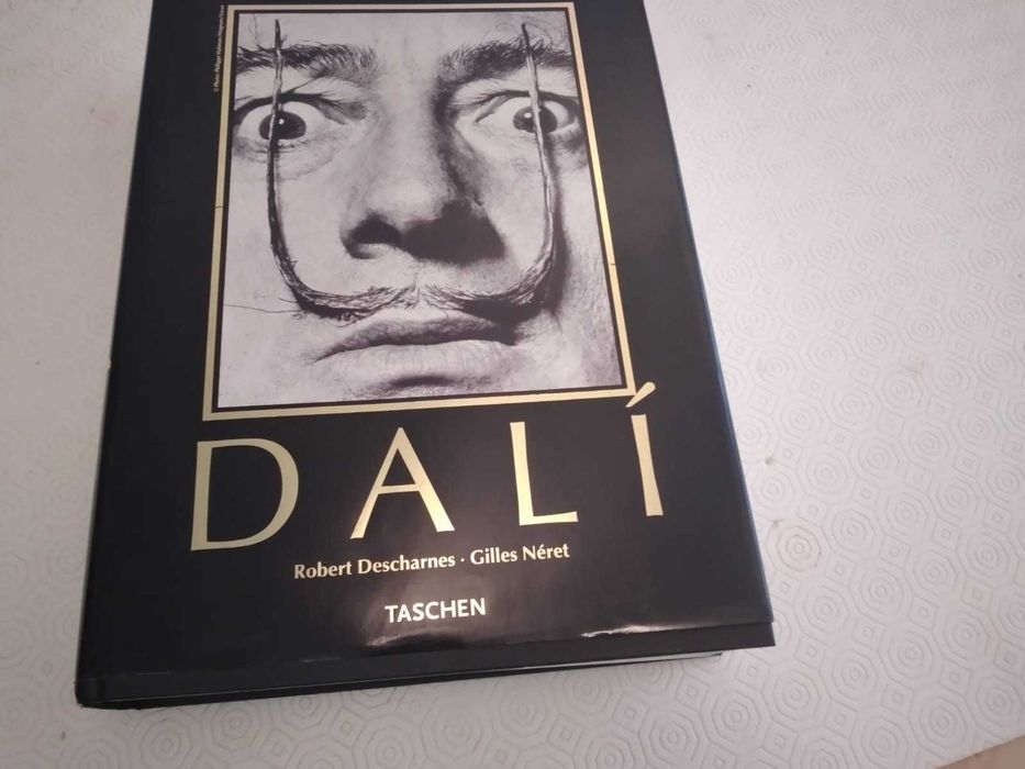 Dalí, a Obra de Pintura