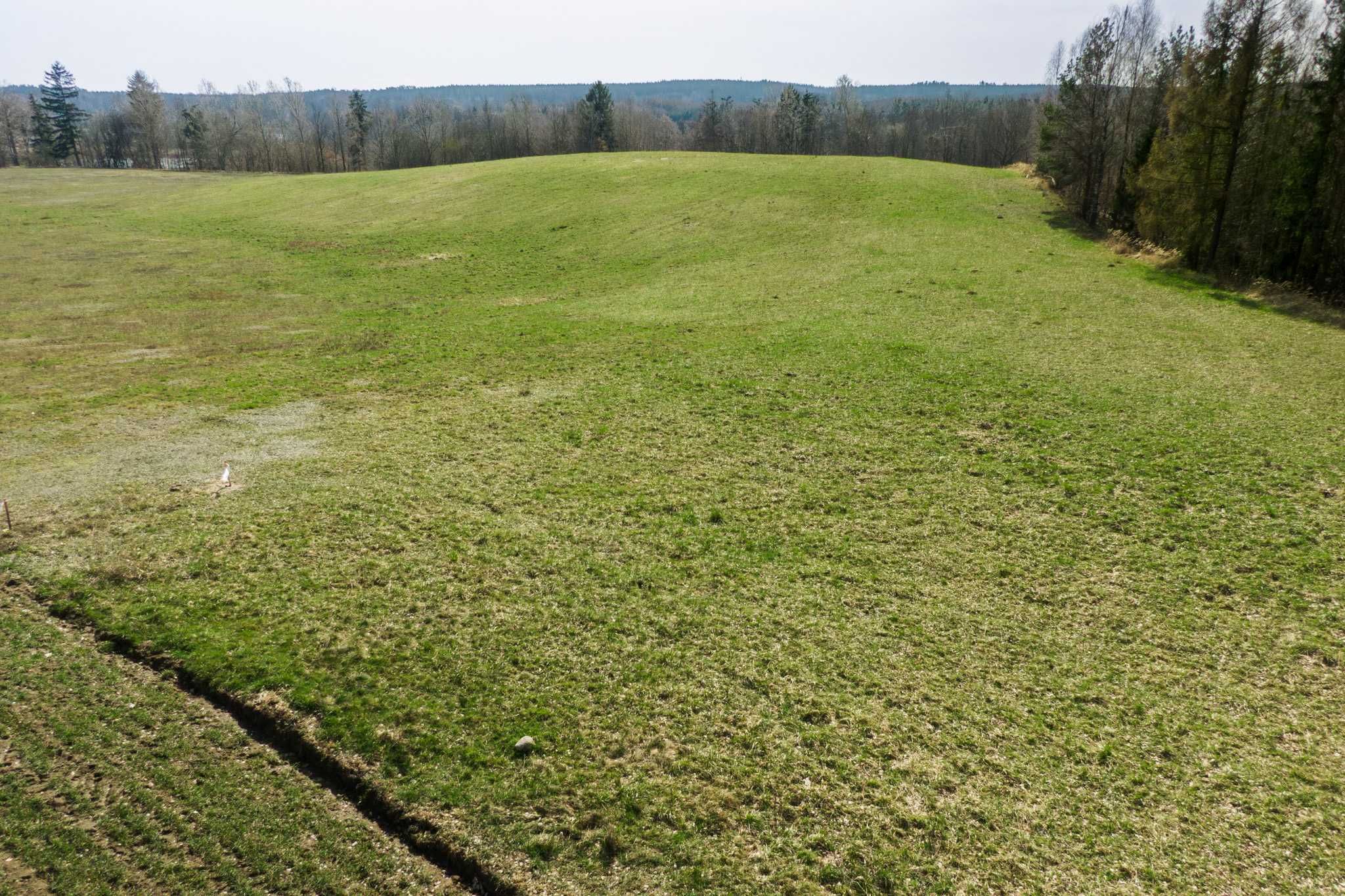 Działka rekreacyjno-budowlana 875m2 nad jeziorem w Borach Tucholskich.