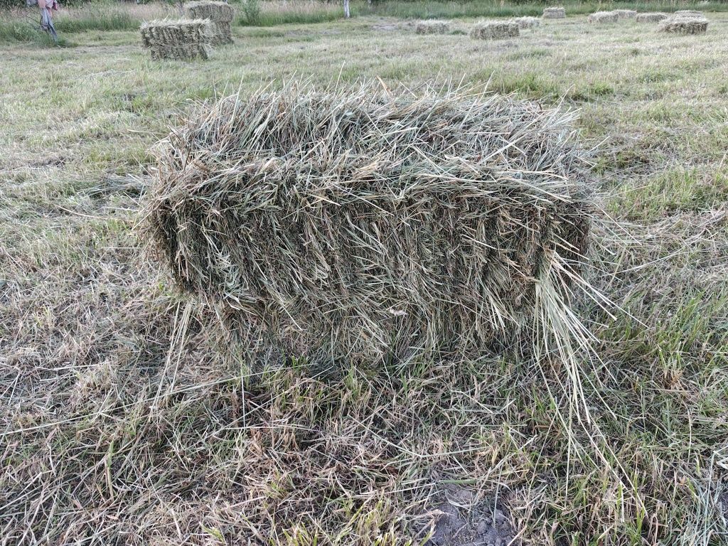 Сіно, сіно лугове, сіно в тюках, тюки