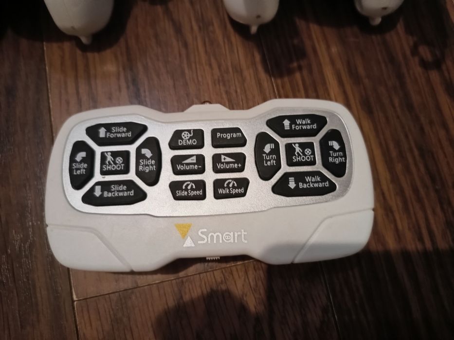 Інтерактивний робот