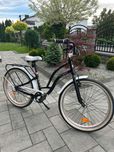 Rower Medano Artist 24"