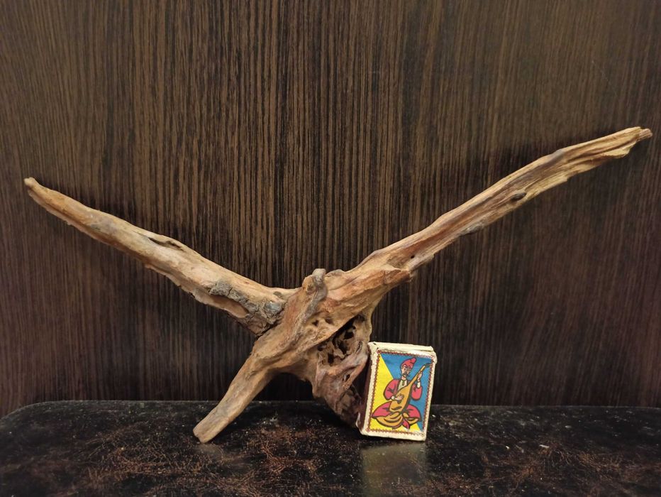 Коряга декор для акваріума # 139. Кораловий корінь. Ціна 380 грн.