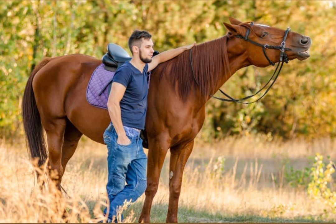 Фотосесси, фотопроэкт с фотографами лошади, кони, лошадь трюковая