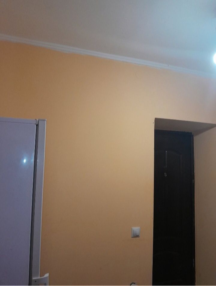 Продаю будинок-дача 3п.цегла,рясне 1,бічна вул.холодної,67.000дол.сша.