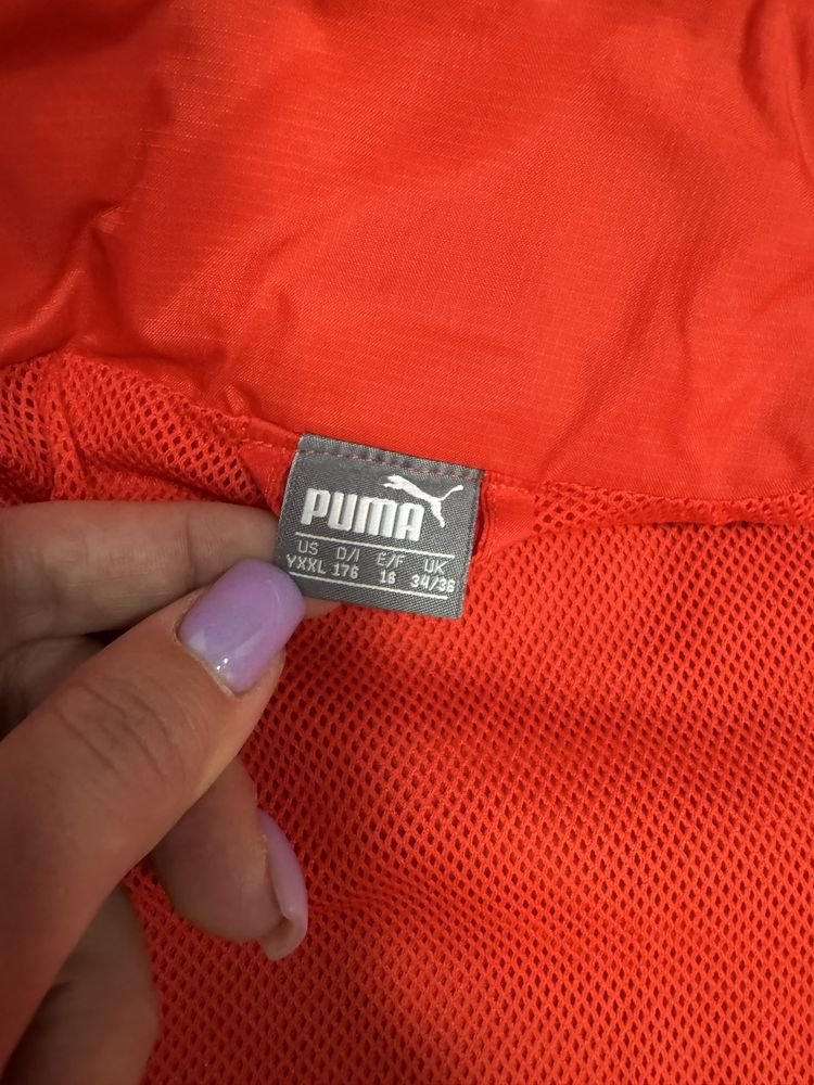 Олімпійка куртка Puma C - M олимпийка aнорак Champion