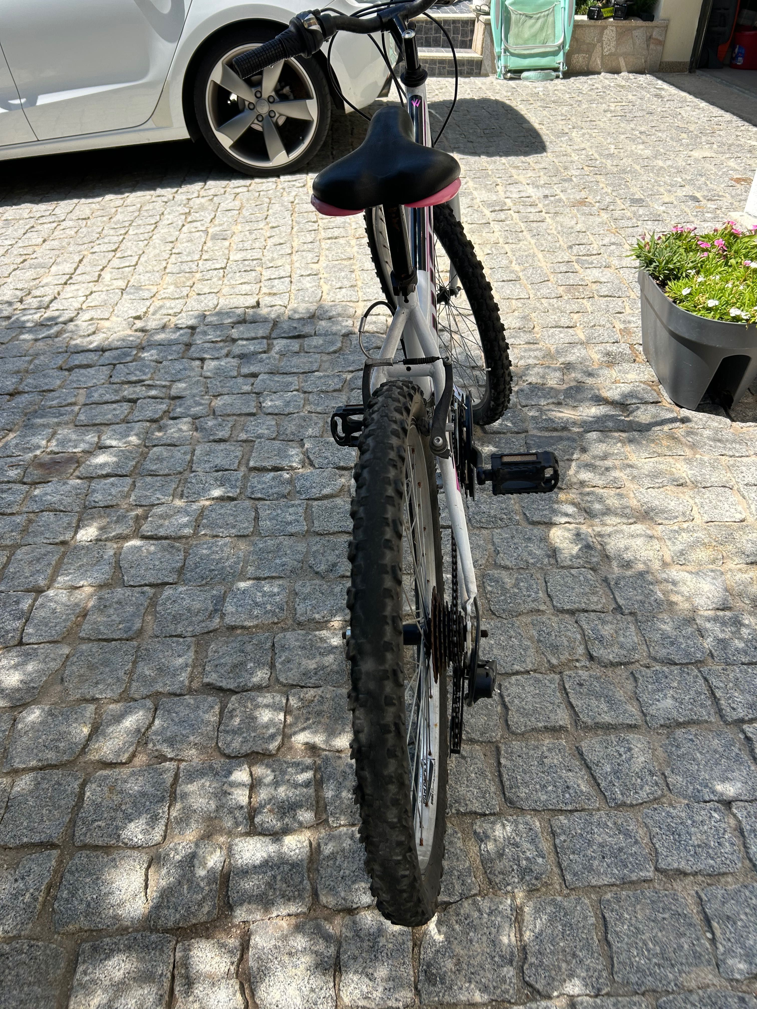 Bicicleta crianca