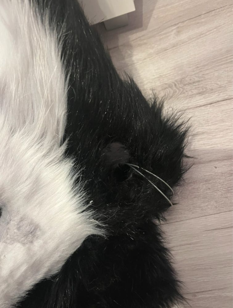 Furry fursuit head
