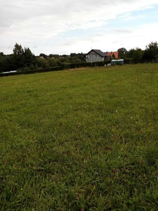 Sprzedam działkę rolną – 17 500 m² – Wieża k. Gryfowa Śl.