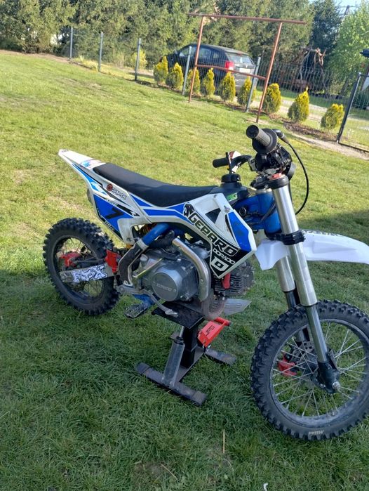 Cross Gepard Dorado 110