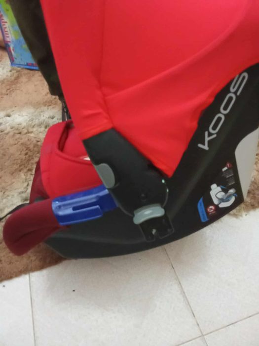 Ovo de bebé com redutor