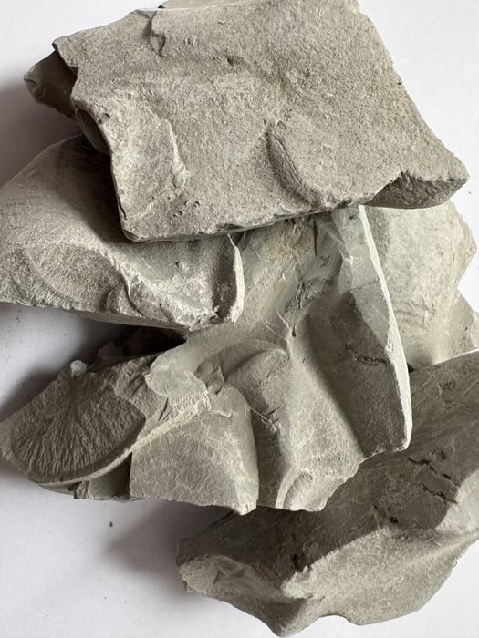 Glinka Południowy Brzeg - 100 g. / Глина Южный берег