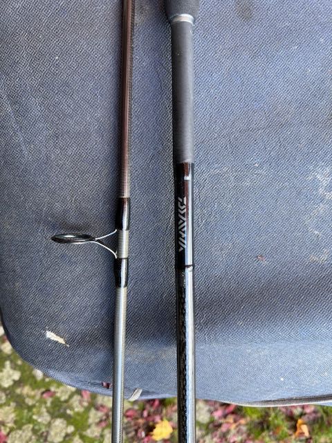 Wędki karpiowe DAIWA Ryukon 13ft. 3,5lb  2 szt.