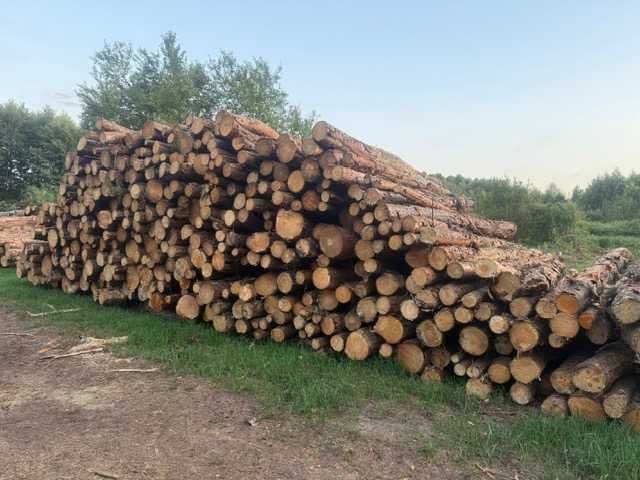 Drzewo - olcha, brzoza, sosna - opał, kłoda, tartak - od 120zł/mp