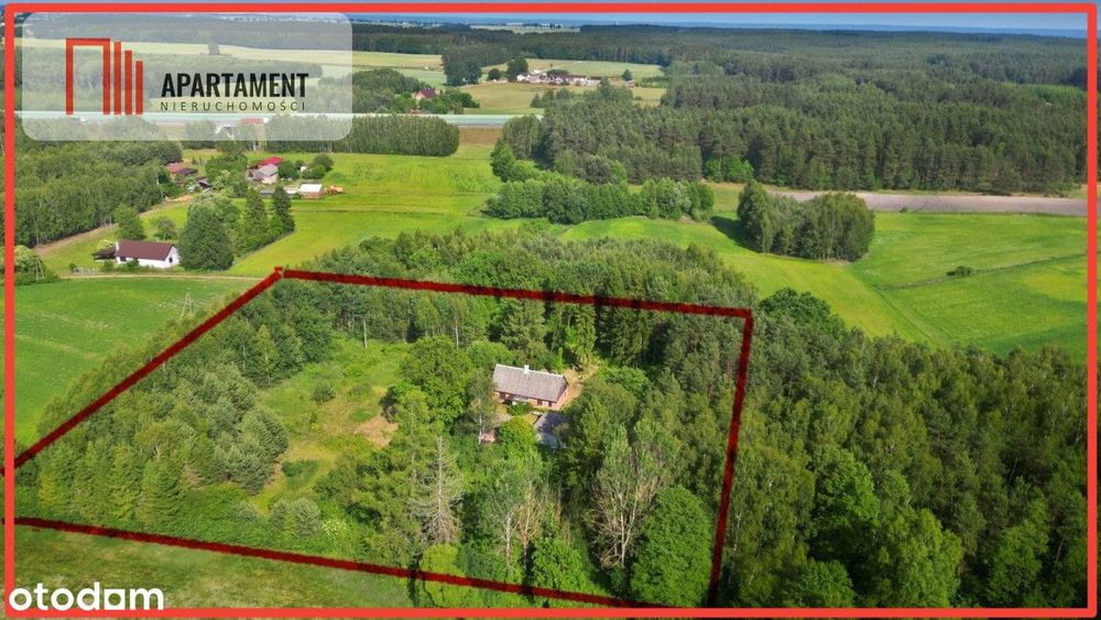 Magiczne siedlisko otulone lasem Borów Tucholskich