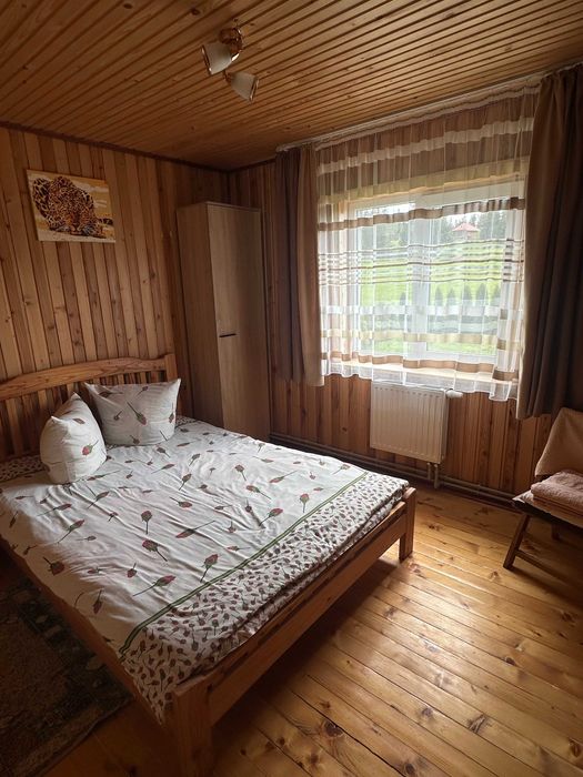 Оренда будинку в Карпатах, котедж з басейном подобово, відпочинок Плай