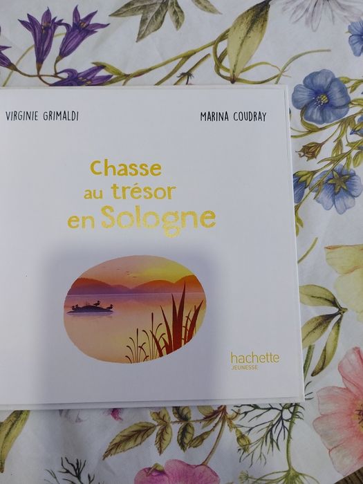 Chasse au trésor en Sologne. Portes incluídos