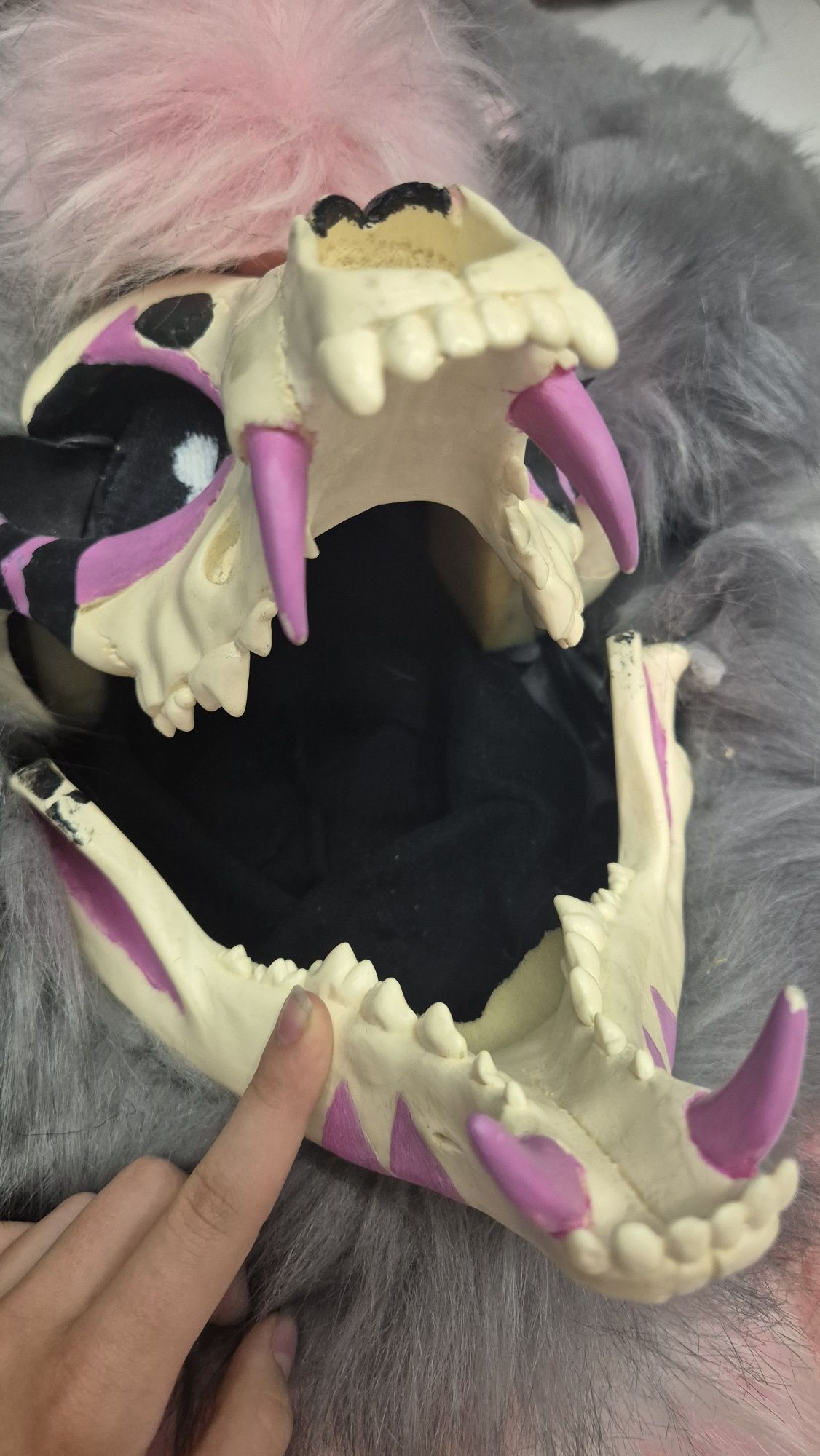 Skull z dvc furry