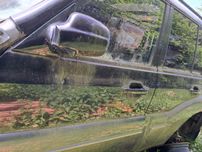 hyundai terracan drzwi przód kompletne