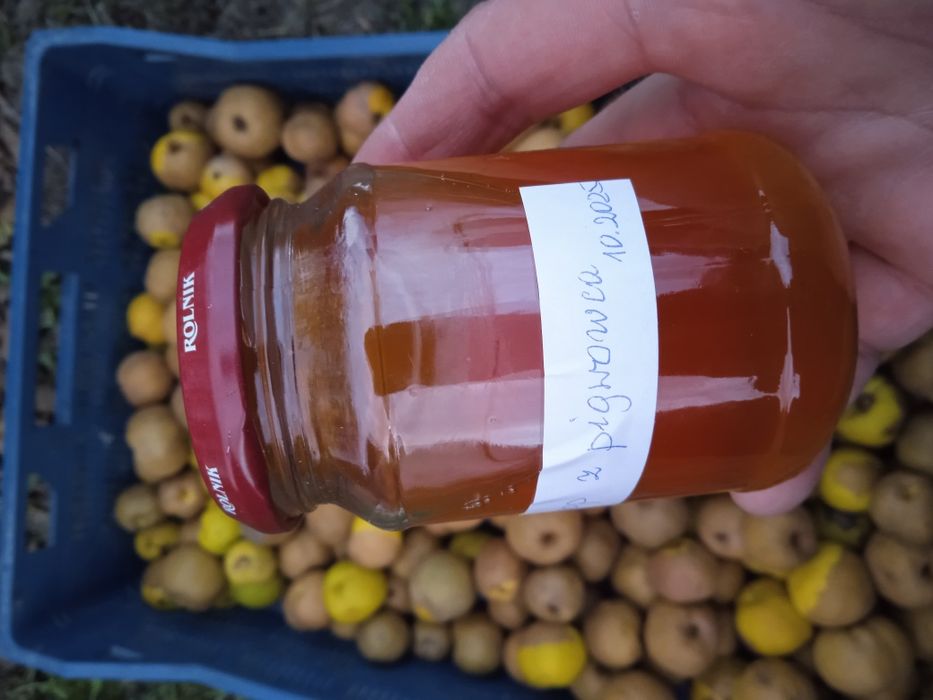 Pigwowiec japoński 5 kg, nie pryskane, ekologiczne na soki