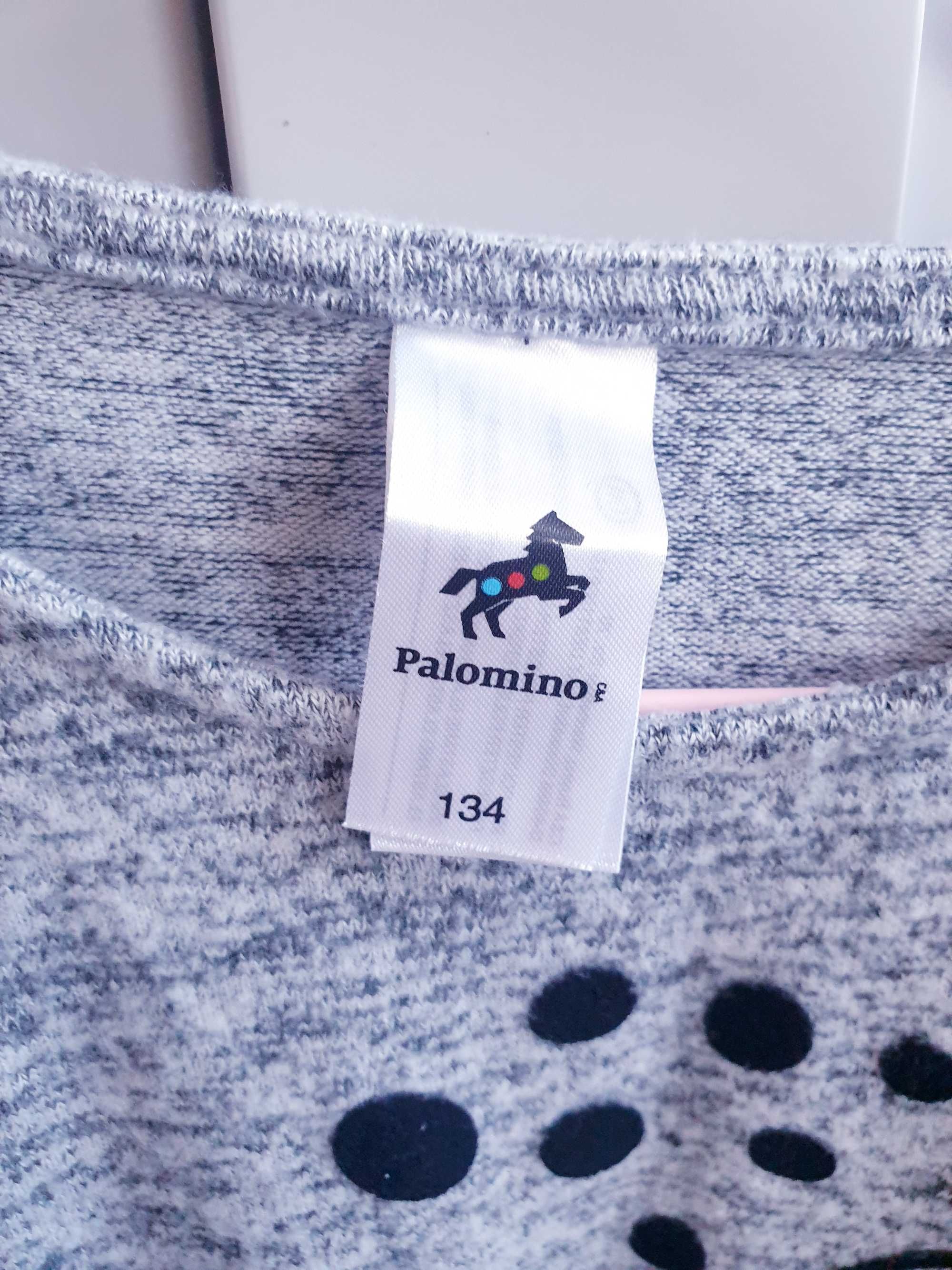 Szara sukienka z kotkiem kotek 128 134 C&A Palomino