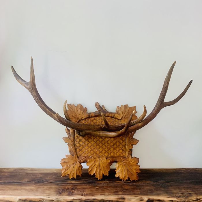 Роги північного оленя. Якутія. Рога серверного оленя