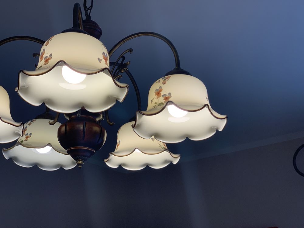 Lampy do salonu 5-ramienne