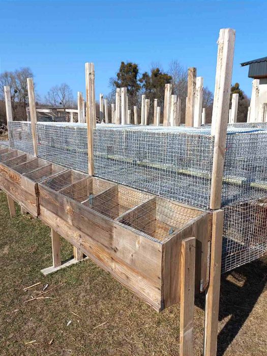 Клітки для кролів