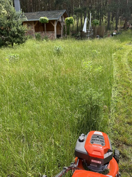 Usługi Ogrodnicze Caregreen