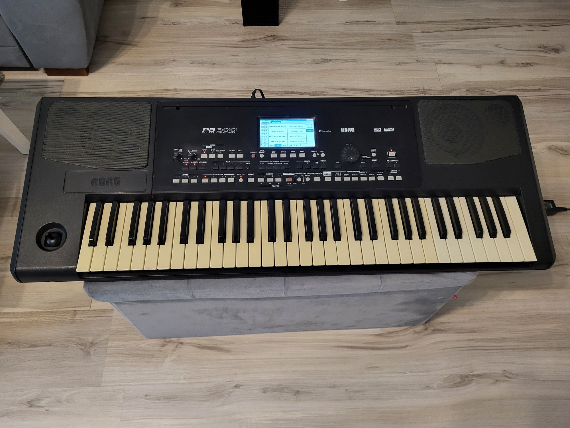 Korg PA 300 z zasilaczem + style