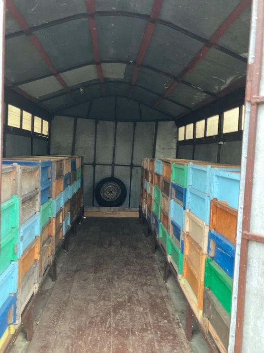 Легковий причіп -павільйон з вуликами. Мобільні будиночки для бджіл