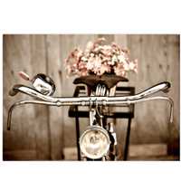 plakat retro rower z kwiatami 70x50
