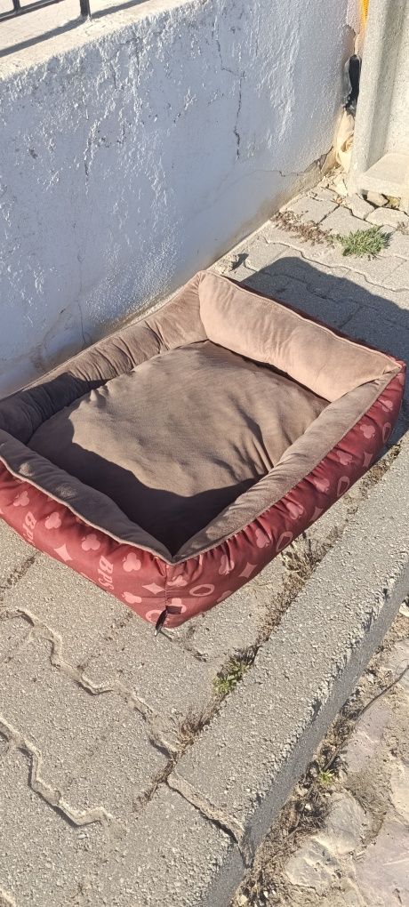 Caminha de cao com almofada