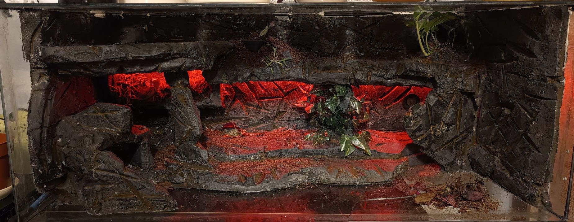 Ścianki do terrarium