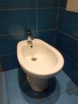 Bidet baciu (bez baterii)