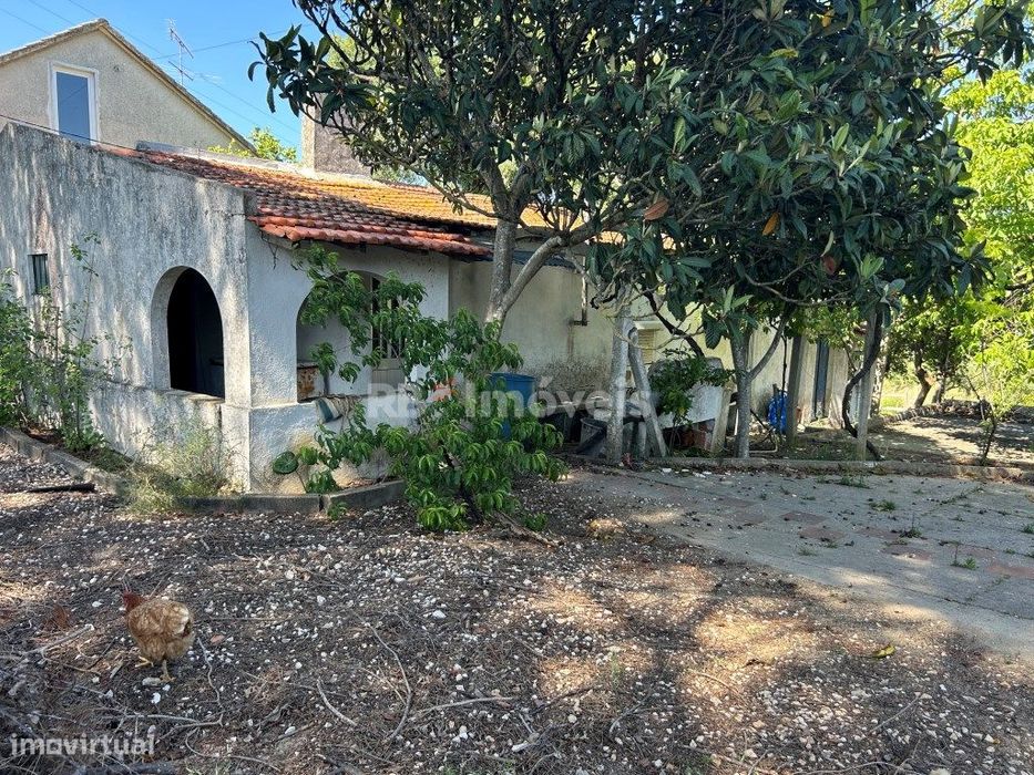 Quintinha nas Calçadas - Tomar