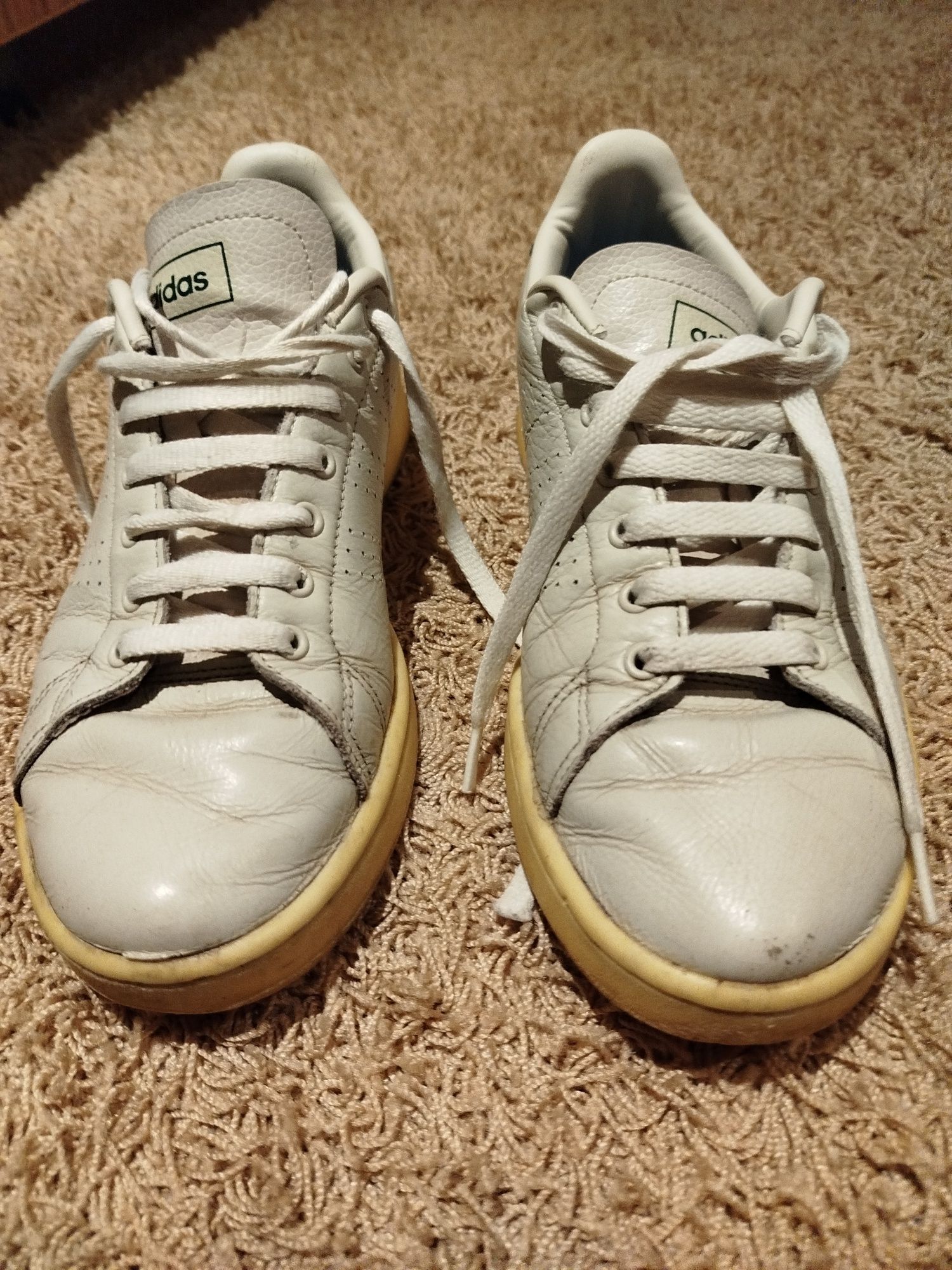 Adidas advantage originais