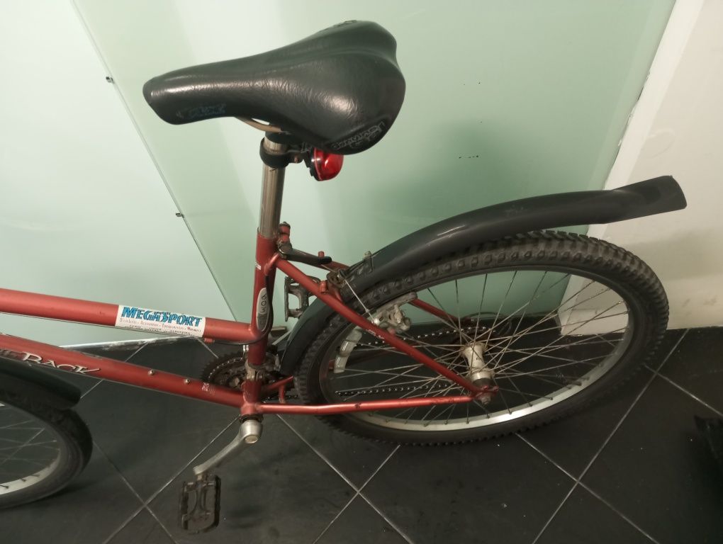 Vendo bicicleta por 180€
