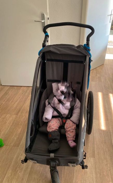 Przyczepka rowerowa Qeridoo Qupa 1 Blue