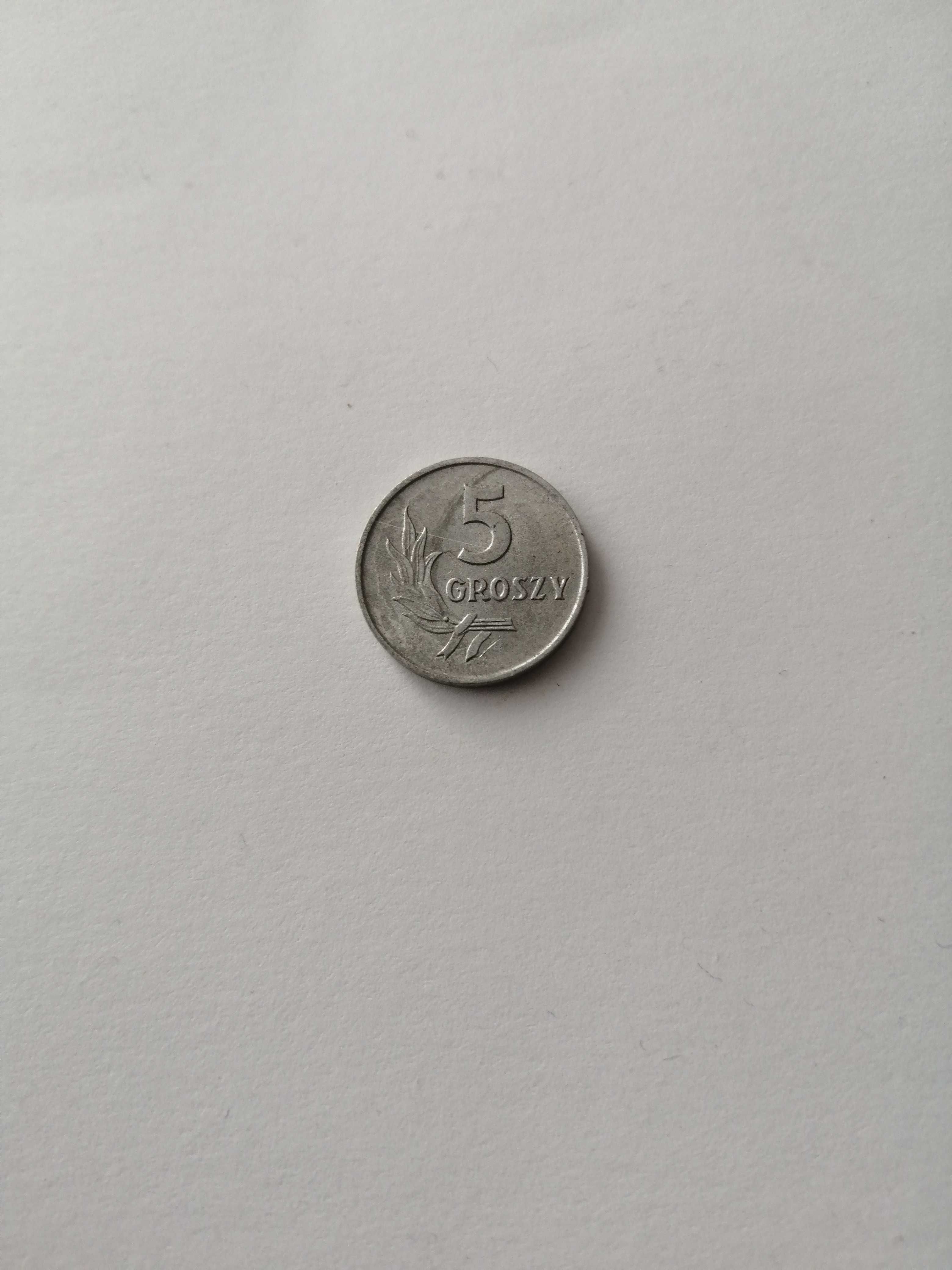 Moneta 5 groszy 1962, bardzo ładna, mennicza, okołomennicza