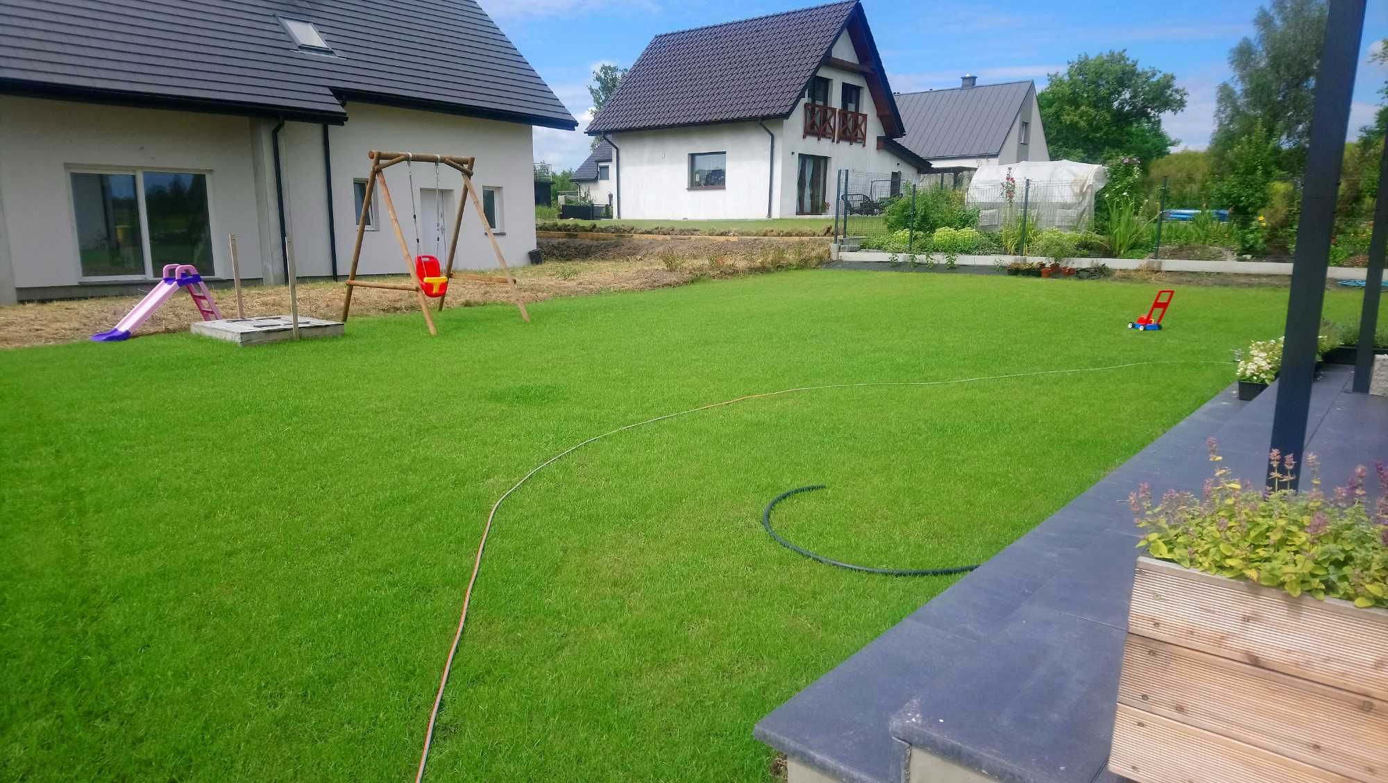 Trwa z rolki, zakładanie trawników, z rolki i z siewu. Dostawa pod dom