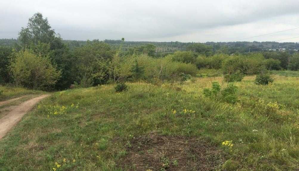 Земельна ділянка 20 соток, с. Дерев'янки Фастівського р-на.