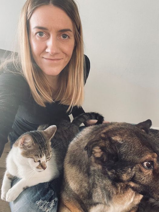 Behawiorysta zwierząt Wrocław i okolice