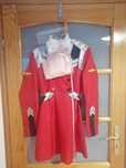 Cosplay Zero Two 002