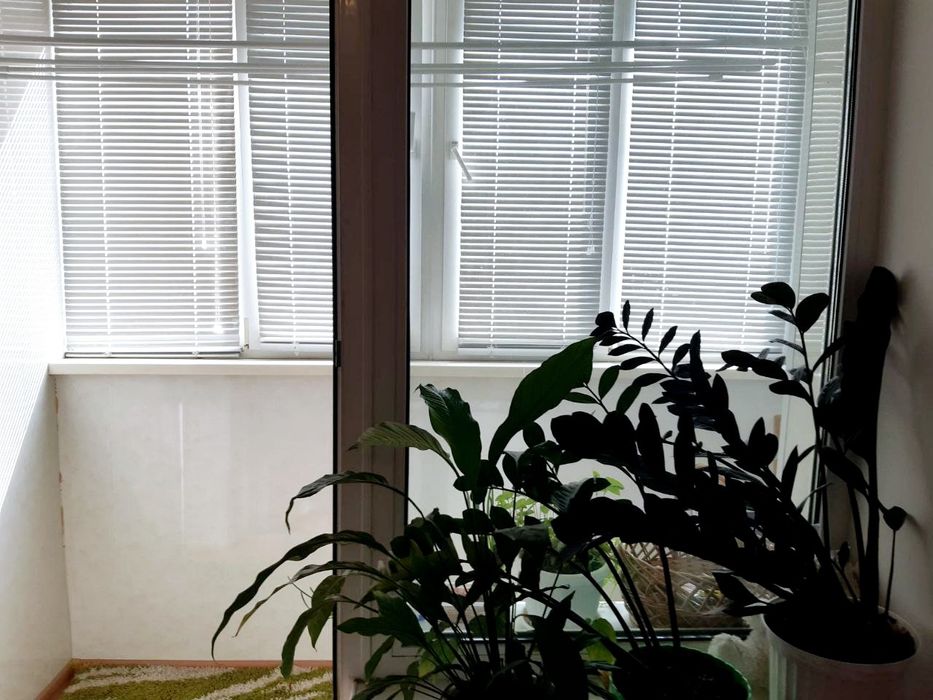 Аренда от собственника/от хозяина ЖК Ривьера  Намыв закрытый двор Река