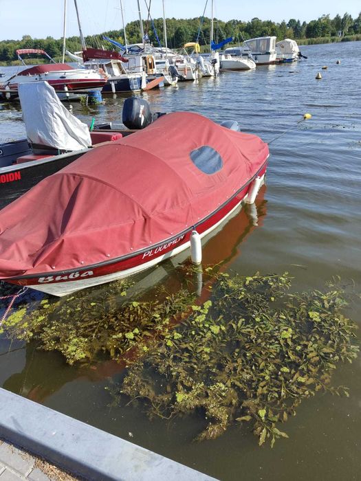 łódka motorowa rekreacyjno-wędkarska, silnik YAMAHA 30 KM