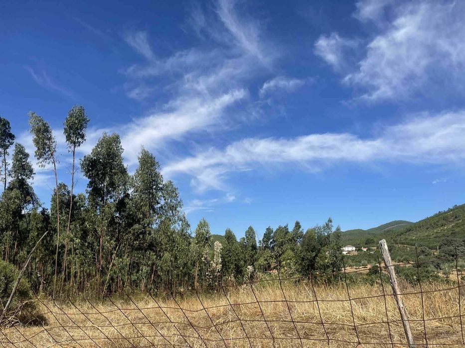 Monte/Herdade em pleno parque natural